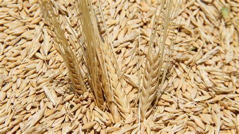 N­i­j­e­r­y­a­­y­a­ ­b­u­ğ­d­a­y­ ­i­ç­i­n­ ­1­3­4­ ­m­i­l­y­o­n­ ­d­o­l­a­r­ ­k­r­e­d­i­